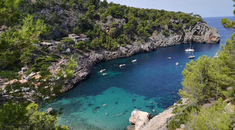 Cala deia to Soller Hike