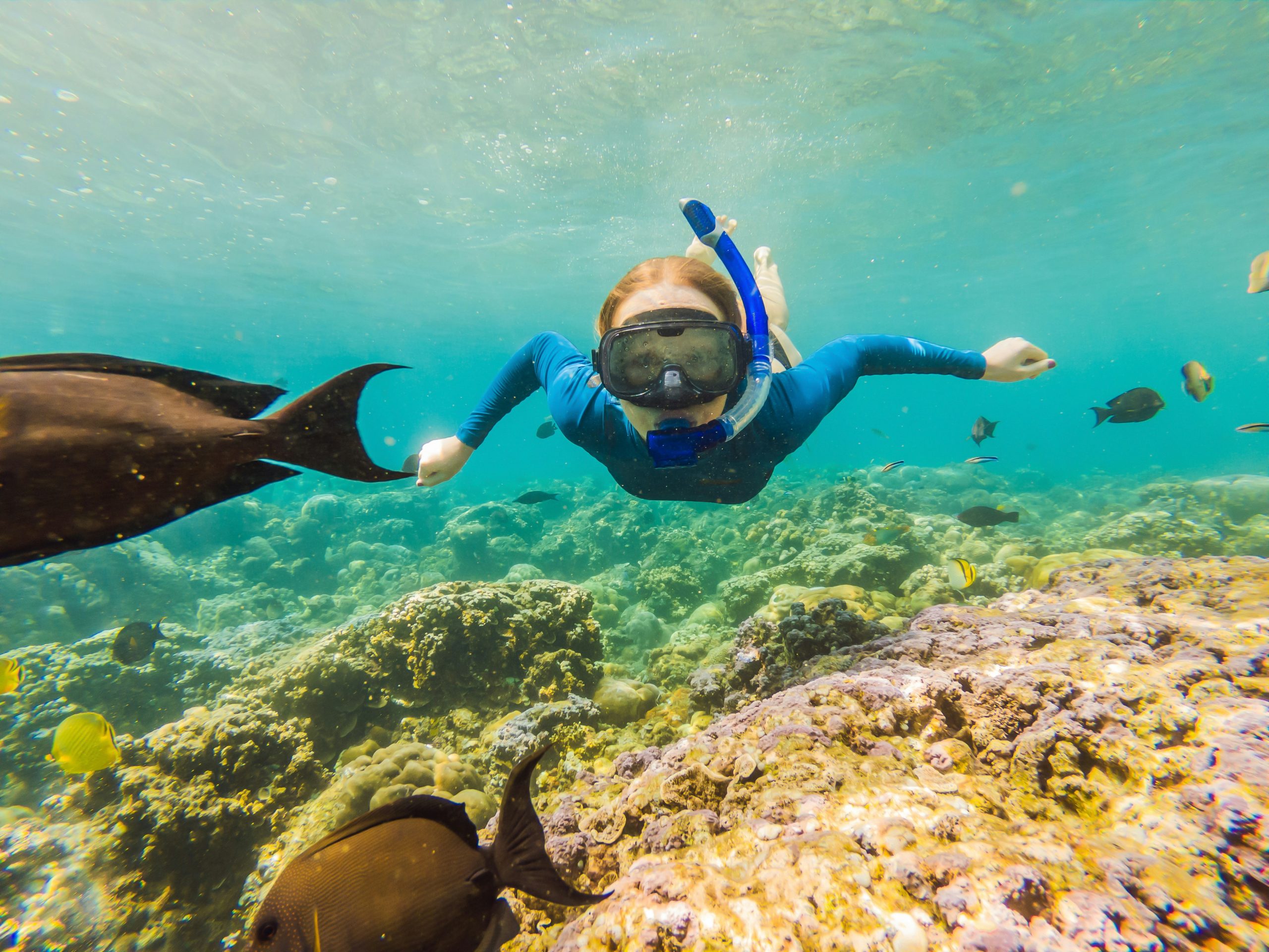 Snorkeling in Mallorca