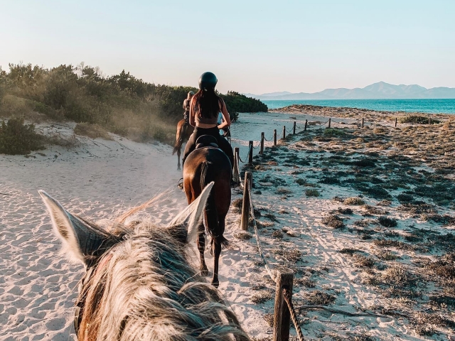 Horse back riding