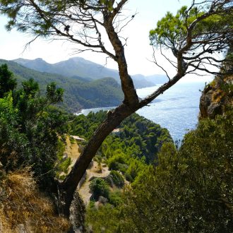 Best hiking trails mallorca