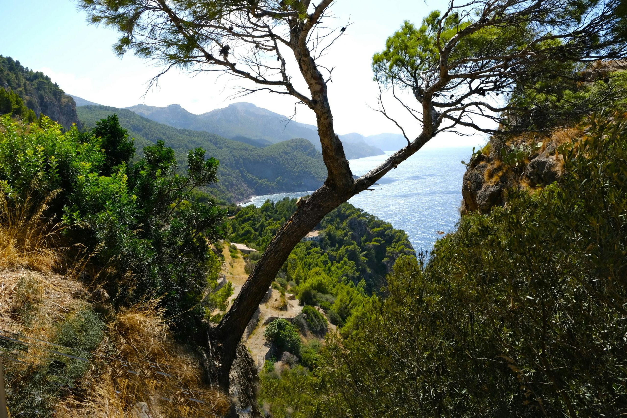 Best Hiking Trails in Mallorca