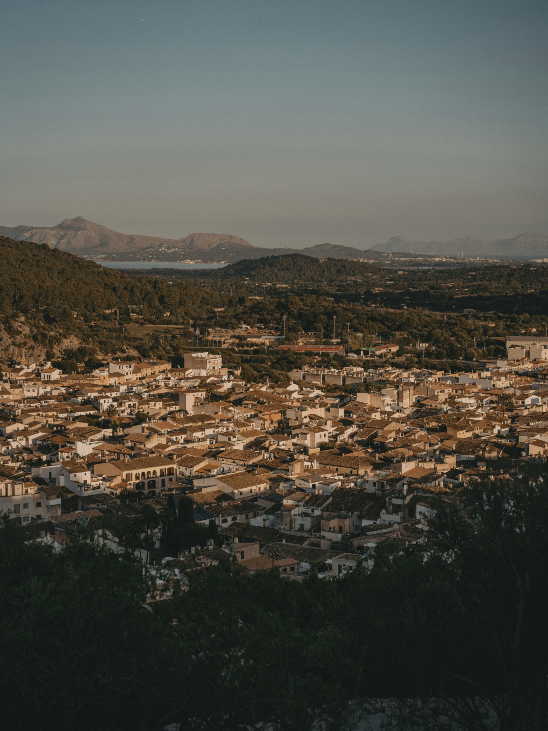 Pallenca palma de mallorca