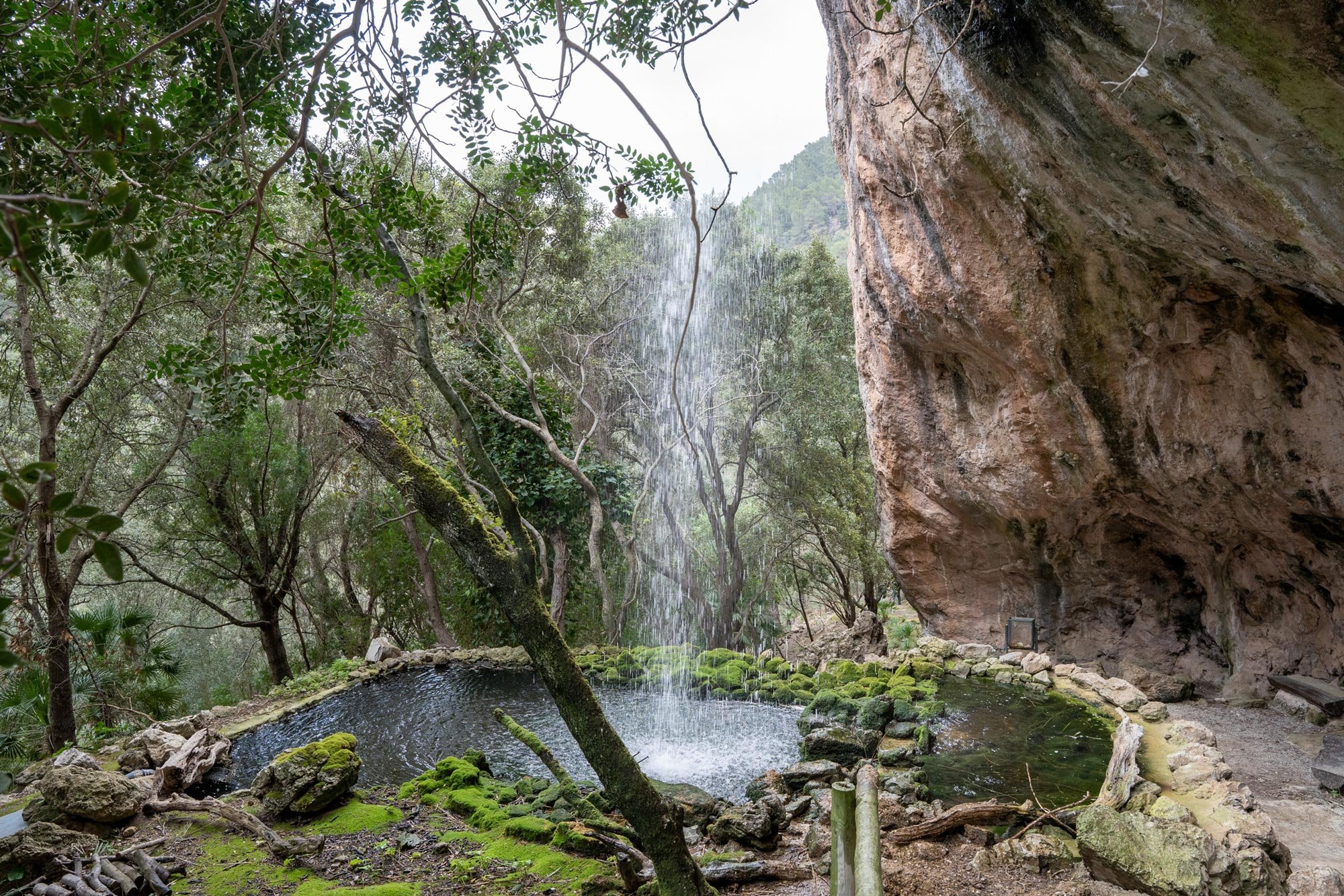 Reserva park